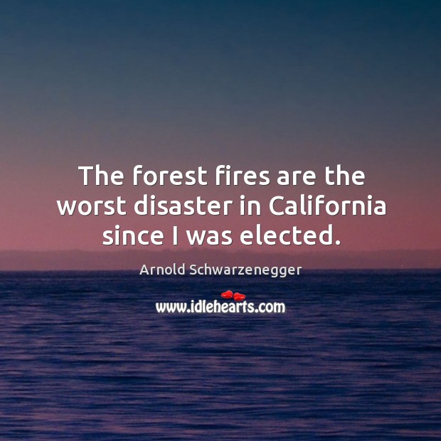 The forest fires are the worst disaster in California since I was elected. Arnold Schwarzenegger Picture Quote