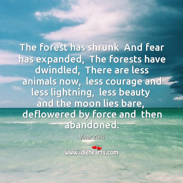 The forest has shrunk  And fear has expanded,  The forests have dwindled, Visar Zhiti Picture Quote