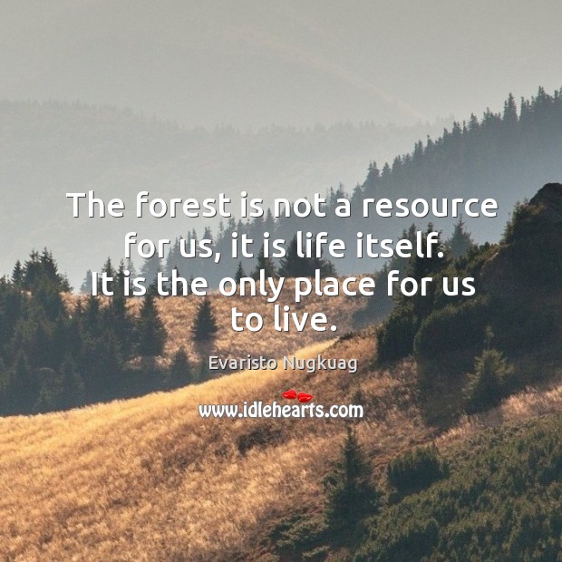 The forest is not a resource for us, it is life itself. Evaristo Nugkuag Picture Quote