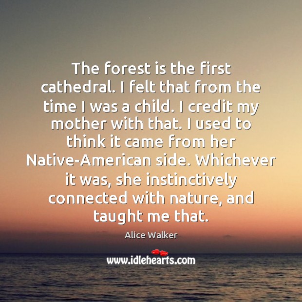 The forest is the first cathedral. I felt that from the time Alice Walker Picture Quote
