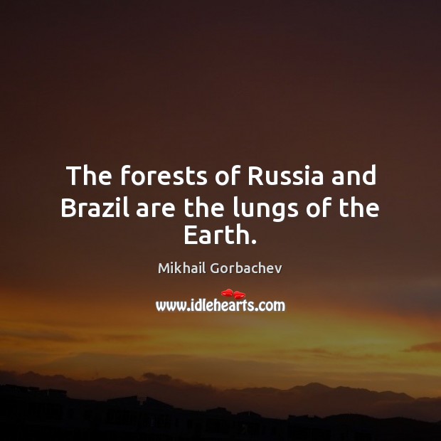 The forests of Russia and Brazil are the lungs of the Earth. Image