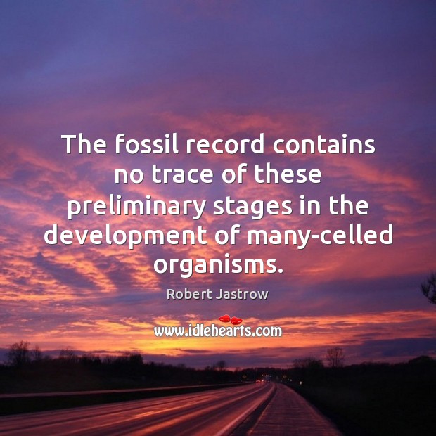 The fossil record contains no trace of these preliminary stages in the Robert Jastrow Picture Quote
