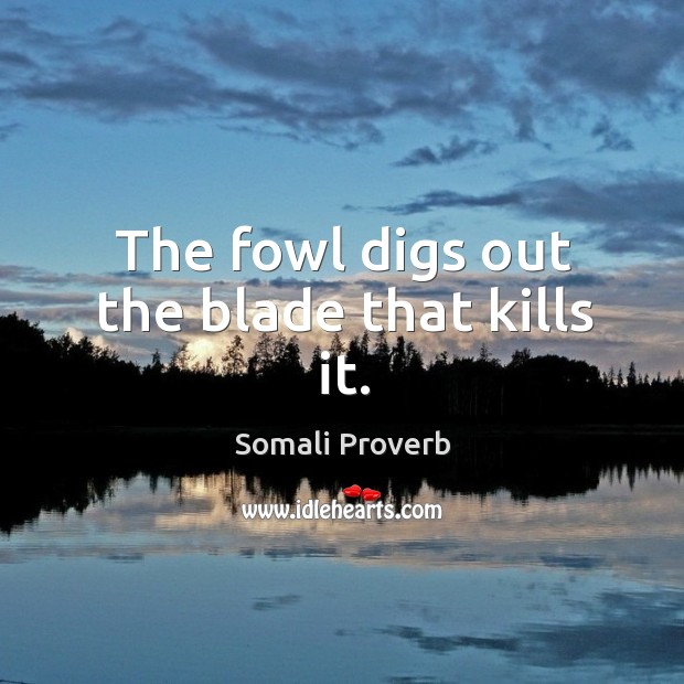 The fowl digs out the blade that kills it. Image