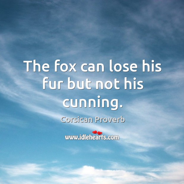 The fox can lose his fur but not his cunning. Image
