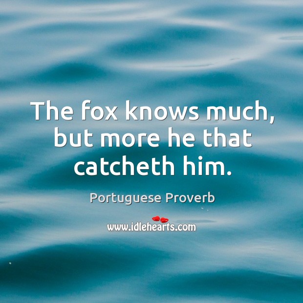 The fox knows much, but more he that catcheth him. Image
