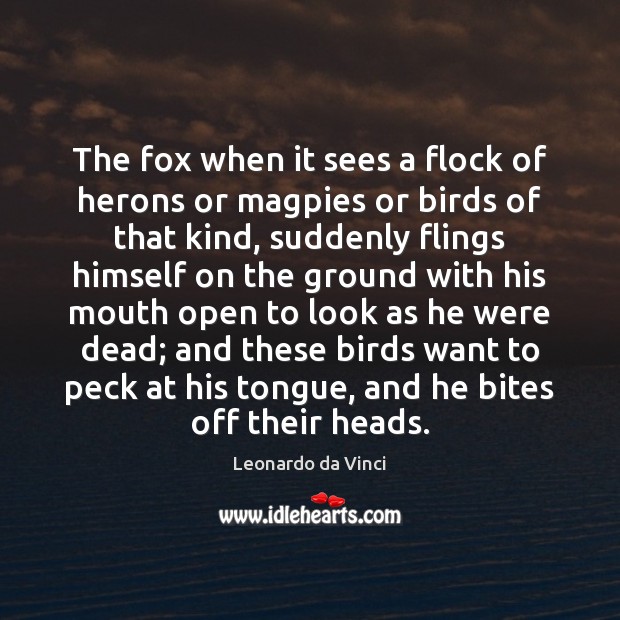 The fox when it sees a flock of herons or magpies or Leonardo da Vinci Picture Quote