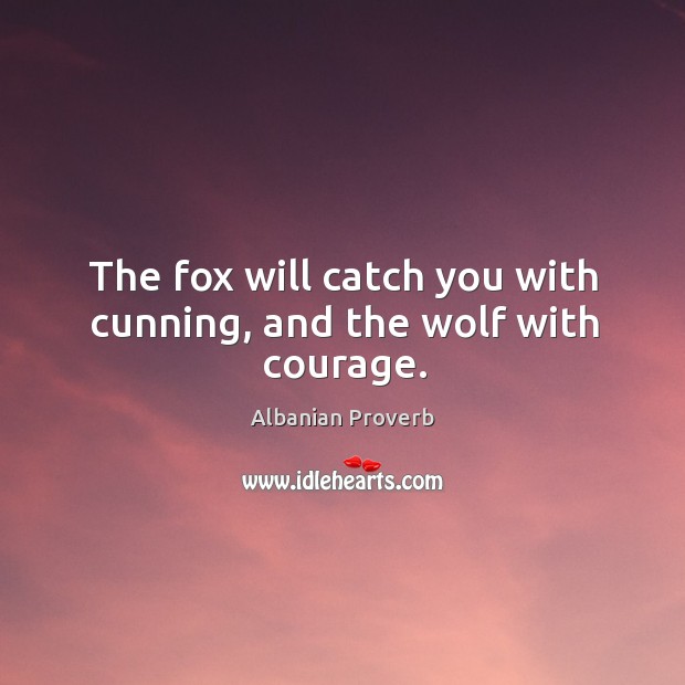The fox will catch you with cunning, and the wolf with courage. Albanian Proverbs Image