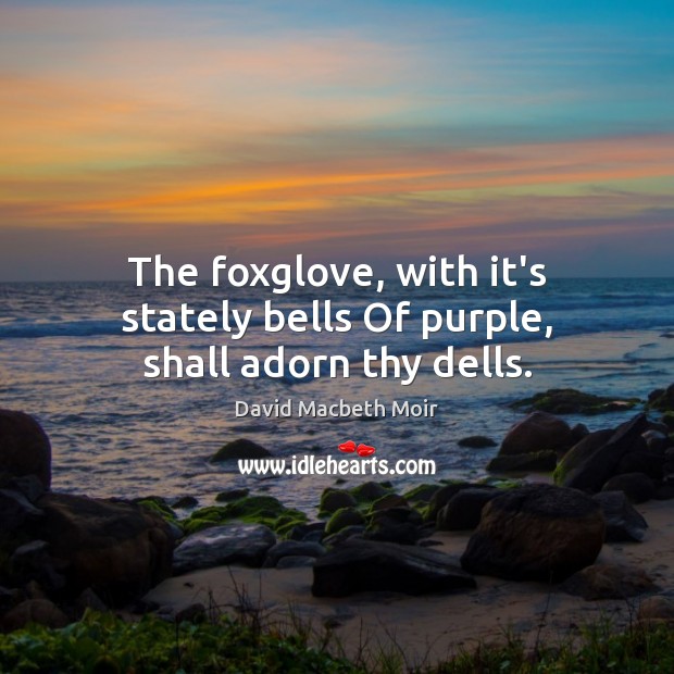 The foxglove, with it’s stately bells Of purple, shall adorn thy dells. David Macbeth Moir Picture Quote