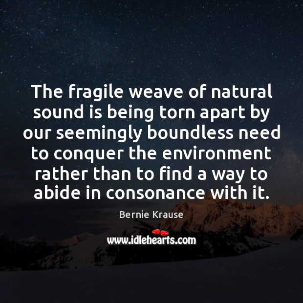 The fragile weave of natural sound is being torn apart by our Bernie Krause Picture Quote