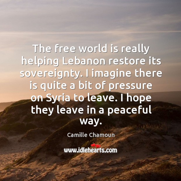 The free world is really helping lebanon restore its sovereignty. Image