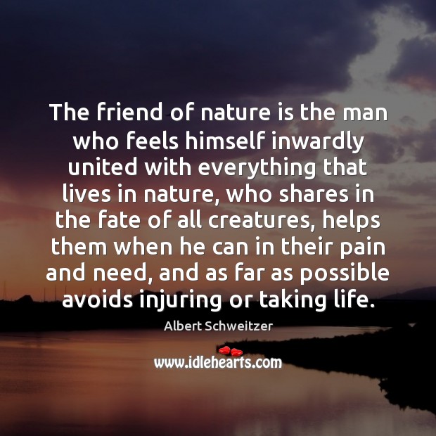The friend of nature is the man who feels himself inwardly united Albert Schweitzer Picture Quote