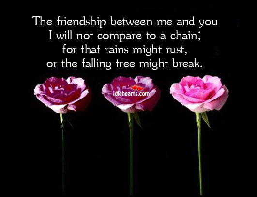 The friendship between me and you I will not compare to a Compare Quotes Image