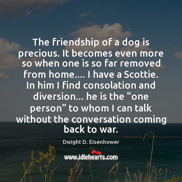 The friendship of a dog is precious. It becomes even more so 