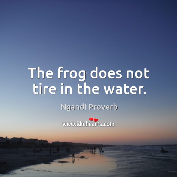 The frog does not tire in the water. Image