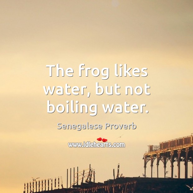 The frog likes water, but not boiling water. Senegalese Proverbs Image