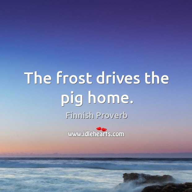 The frost drives the pig home. Finnish Proverbs Image