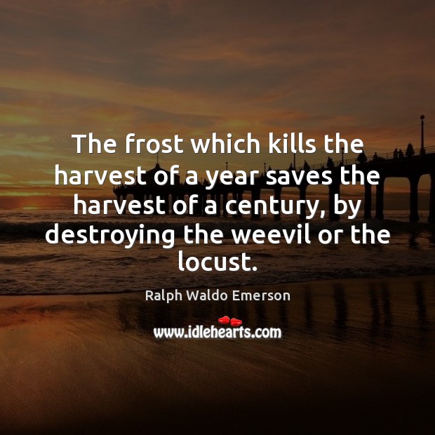 The frost which kills the harvest of a year saves the harvest Image