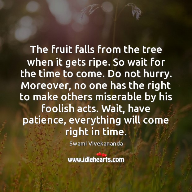 The fruit falls from the tree when it gets ripe. So wait Image