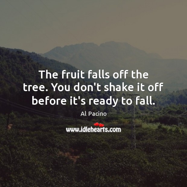 The fruit falls off the tree. You don’t shake it off before it’s ready to fall. Al Pacino Picture Quote