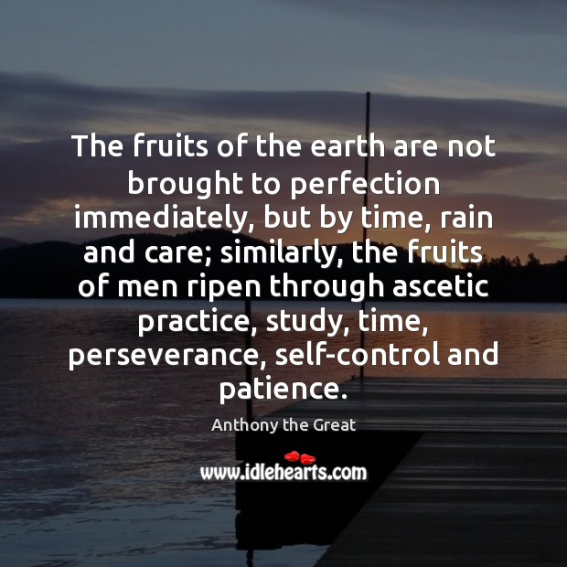 The fruits of the earth are not brought to perfection immediately, but Anthony the Great Picture Quote