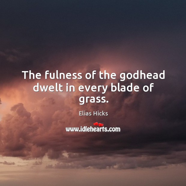 The fulness of the Godhead dwelt in every blade of grass. Elias Hicks Picture Quote