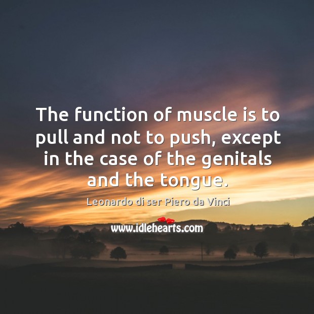 The function of muscle is to pull and not to push, except in the case of the genitals and the tongue. Leonardo di ser Piero da Vinci Picture Quote
