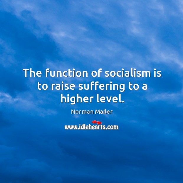 The function of socialism is to raise suffering to a higher level. Norman Mailer Picture Quote