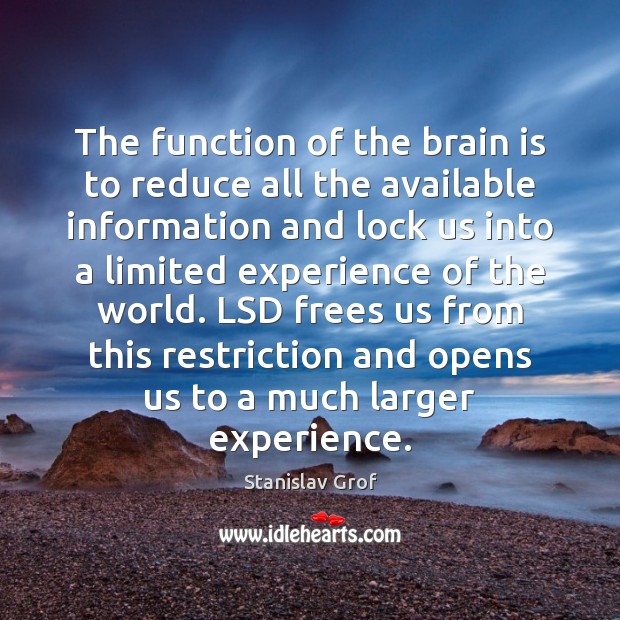 The function of the brain is to reduce all the available information Stanislav Grof Picture Quote