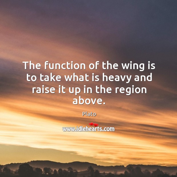 The function of the wing is to take what is heavy and raise it up in the region above. Plato Picture Quote