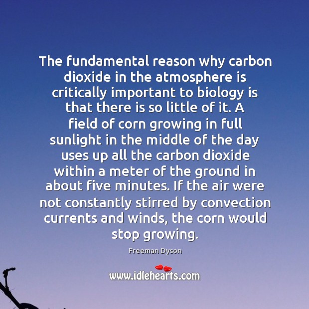 The fundamental reason why carbon dioxide in the atmosphere is critically important Freeman Dyson Picture Quote