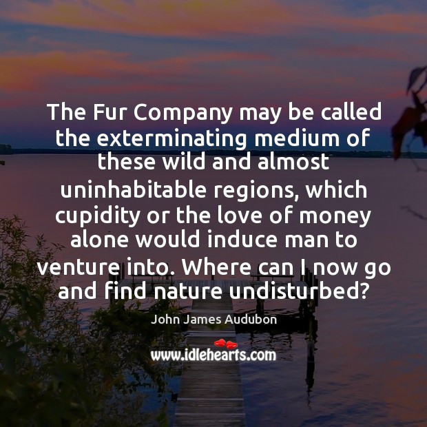 The Fur Company may be called the exterminating medium of these wild John James Audubon Picture Quote