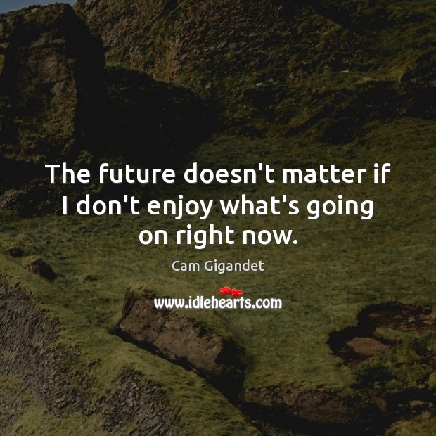 The future doesn’t matter if I don’t enjoy what’s going on right now. Cam Gigandet Picture Quote