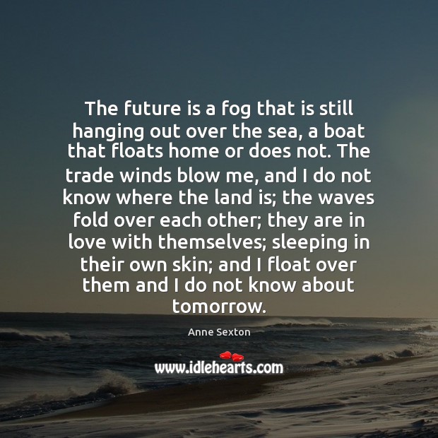 The future is a fog that is still hanging out over the Anne Sexton Picture Quote