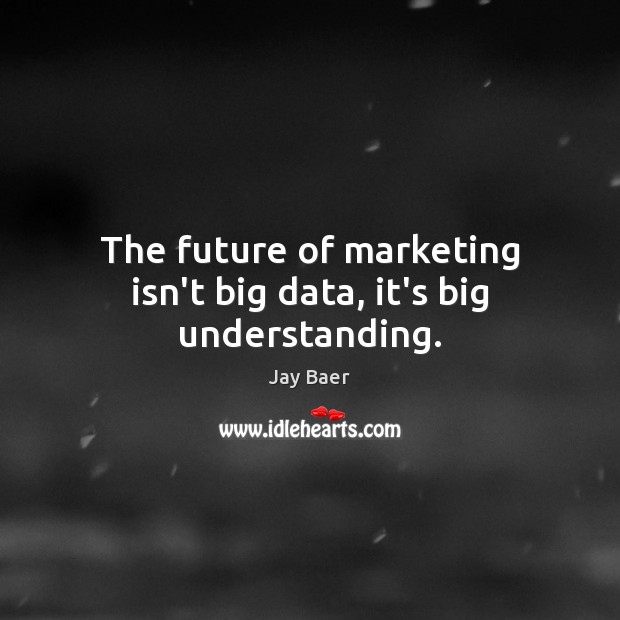 The future of marketing isn’t big data, it’s big understanding. Jay Baer Picture Quote