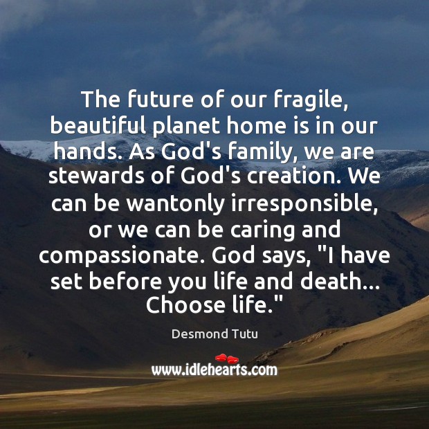 The future of our fragile, beautiful planet home is in our hands. Desmond Tutu Picture Quote
