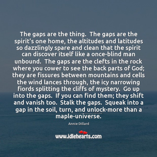 The gaps are the thing.  The gaps are the spirit’s one home, Annie Dillard Picture Quote