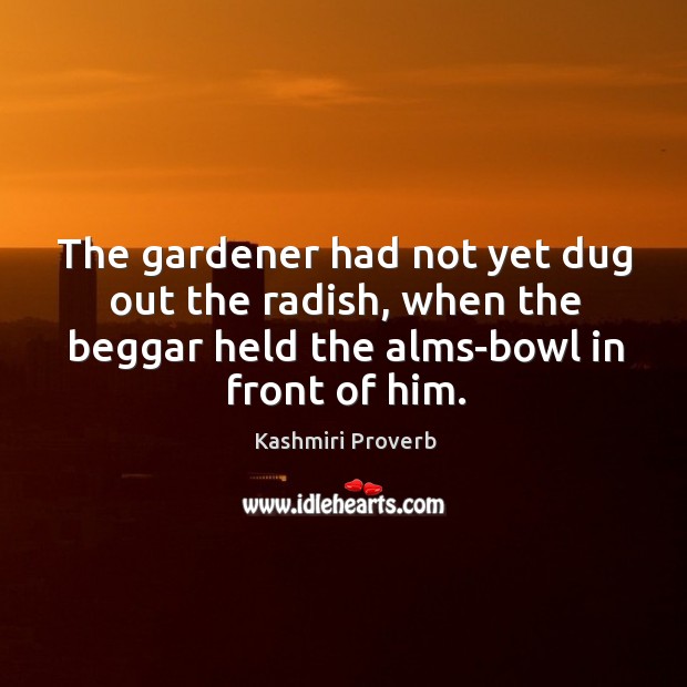 The gardener had not yet dug out the radish Kashmiri Proverbs Image