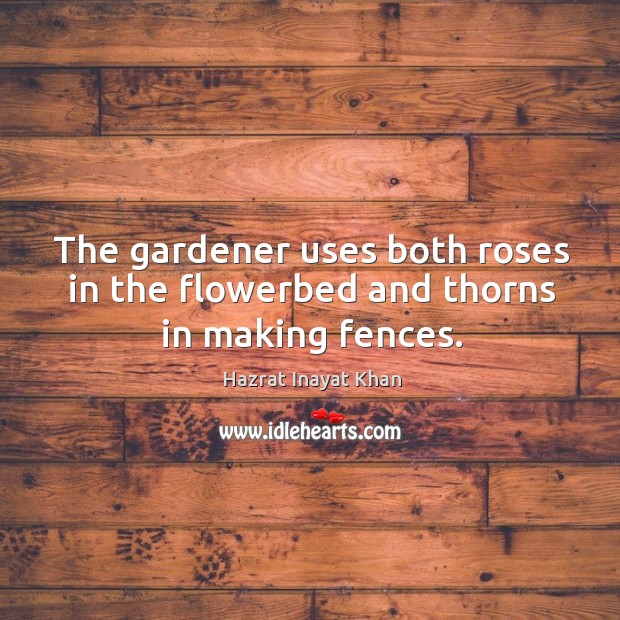 The gardener uses both roses in the flowerbed and thorns in making fences. Image