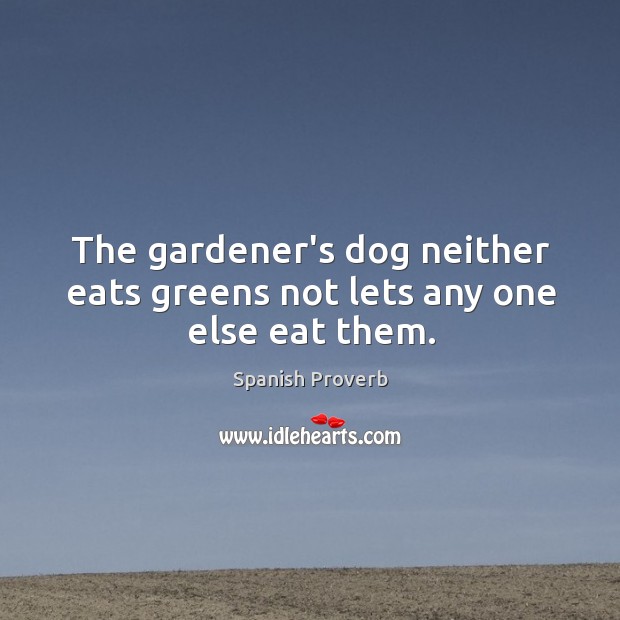 The gardener’s dog neither eats greens not lets any one else eat them. Spanish Proverbs Image