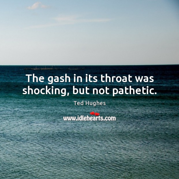 The gash in its throat was shocking, but not pathetic. Ted Hughes Picture Quote