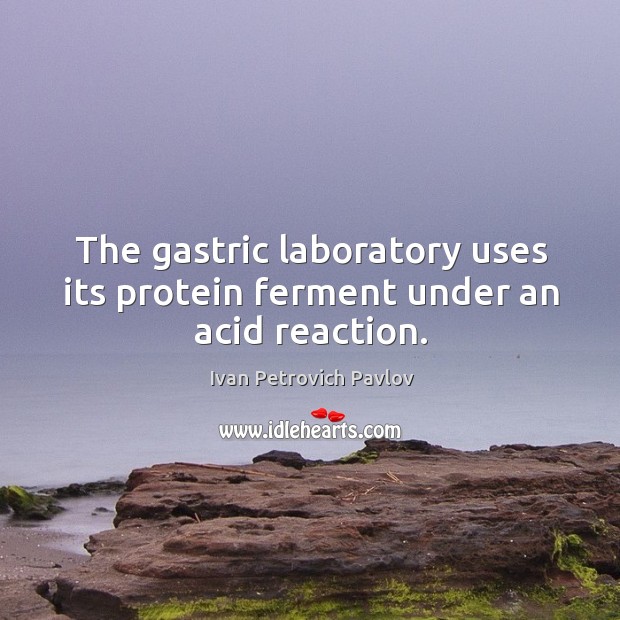 The gastric laboratory uses its protein ferment under an acid reaction. Ivan Petrovich Pavlov Picture Quote