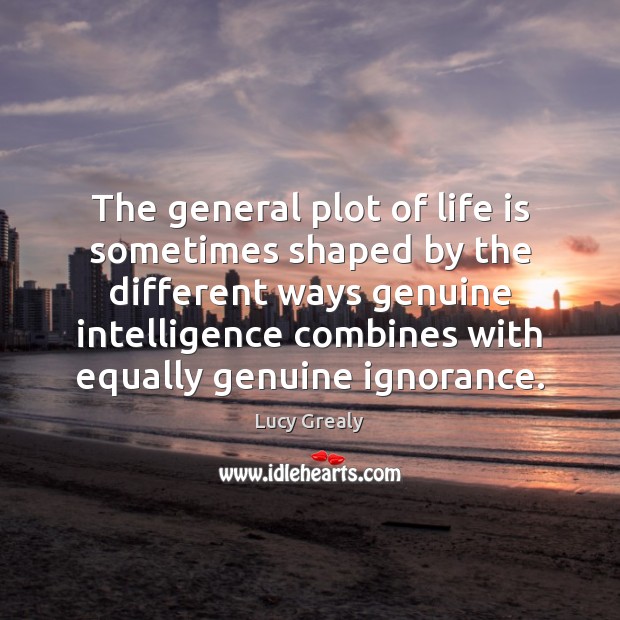 The general plot of life is sometimes shaped by the different ways Lucy Grealy Picture Quote