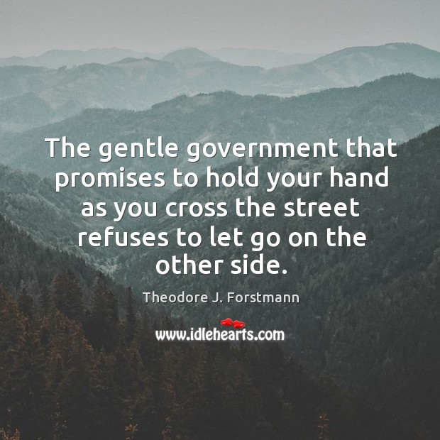 The gentle government that promises to hold your hand as you cross Theodore J. Forstmann Picture Quote