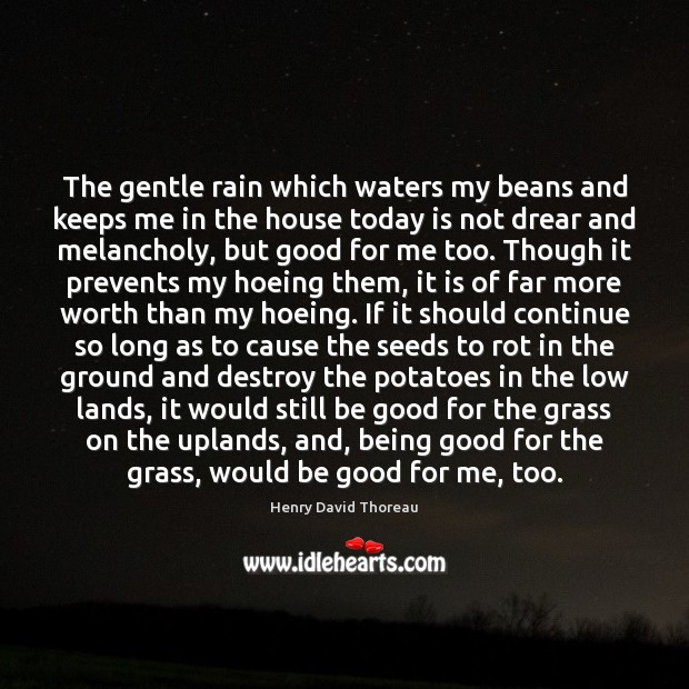 The gentle rain which waters my beans and keeps me in the Image