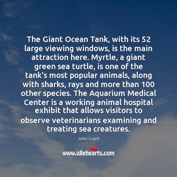 The Giant Ocean Tank, with its 52 large viewing windows, is the main Medical Quotes Image