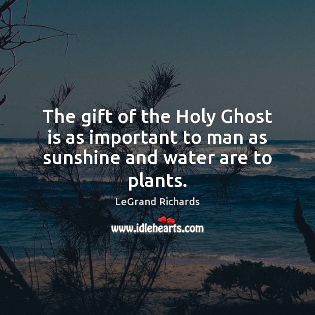 The gift of the Holy Ghost is as important to man as sunshine and water are to plants. Image