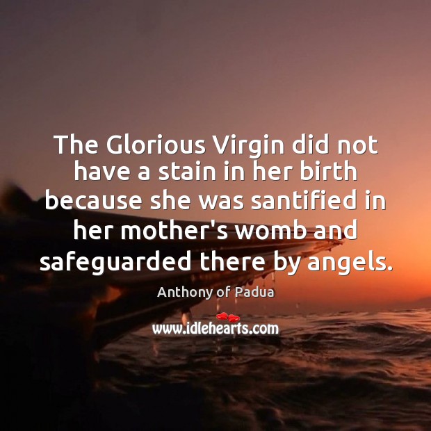 The Glorious Virgin did not have a stain in her birth because Anthony of Padua Picture Quote