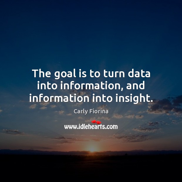 The goal is to turn data into information, and information into insight. Carly Fiorina Picture Quote