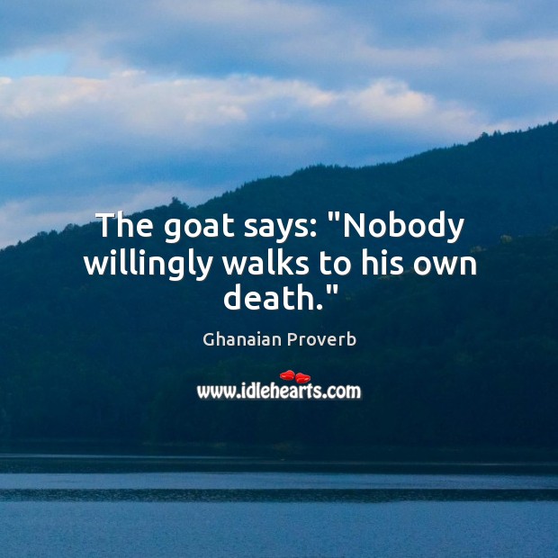 The goat says: “nobody willingly walks to his own death.” Image