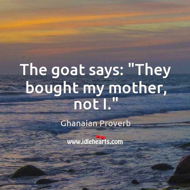 The goat says: “they bought my mother, not i.” Image